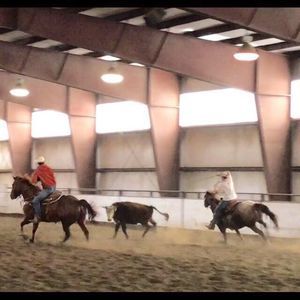 Meet your Posher, Clayton